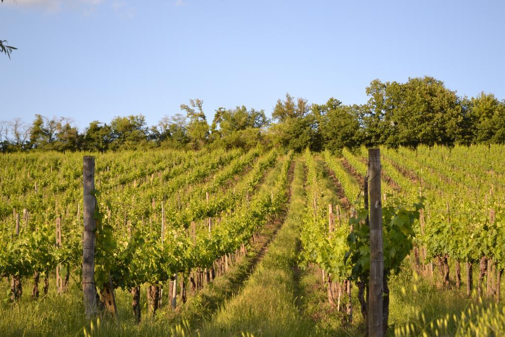 Casale Le Masse Greve in Chianti Exterior foto